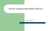 Seminar Teorii Organization Ale Clasice