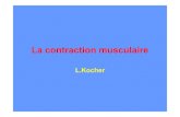 Contraction Musculaire Couleur[1]