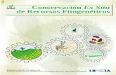 Conservação ex situ de recursos fitogeneticos. IPGRI