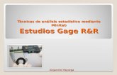 Estudios Gage RR using Minita