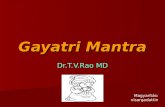16378469 Gayatri Mantra