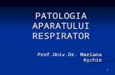patologia respiratorie