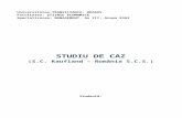 Studiu de Caz SC Kaufland - Romania SCS