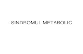 3 Sindromul Metabolic