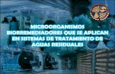 TRATAMIENTO BIOLOGICO AGUAS RESIDUALES
