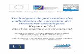 rapport1-1-fr corrosion