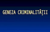 05-Geneza criminalitatii
