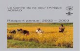 AfricaRice Rapport annuel 2002-2003