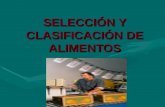 SELECCIN Y CLASIFICACIN DE ALIMENTOS(4)
