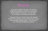 Plumb-George Bacovia