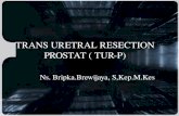 TRANS URETRAL RESECTION PROSTAT ( TUR-P)