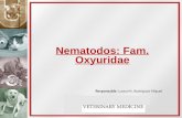 Veterinary/ Parasito /Oxyridae