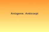 Antigene si anticorpi