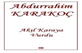 Abdurrahim Karakoç - Akıl Karaya Vurdu