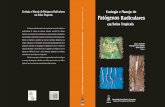 Ecologia e Manejo de Patogenos radiculares em solos tropicais