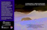 Cartilla_Cuidando y restaurando los páramos de Colombia_2011