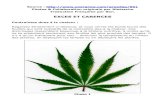 Culture du Cannabis - Problemes, Carence, Exces