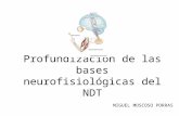 Profundizacion de las bases neurofisiologicas del NDT