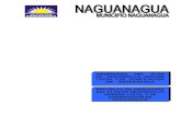 Ordenanza de PDUL y zonificación de Naguanagua