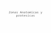 Zonas Anatomicas y protesicas