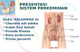 Slide Anatomi Sistem Perkemihan