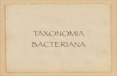 TAXONOMIA  Bacteriana