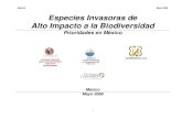 Especies Invasoras   de Alto Impacto a la Biodiversidad, prioridades en México.
