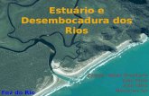 Estuário e Desembocadura dos Rios