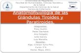 Anatomofisiología de las Glándulas Tiroides y Paratiroides