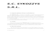 Plan de Afaceri - SC Sykozzys SRL - Servicii Funerare