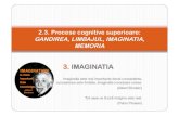 6.Procese Cognitive Superioare - 3.IMAGINATIA