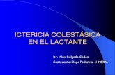 ICTERICIA COLESTÁSICA EN EL LACTANTE