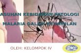 Malaria Auto Saved]