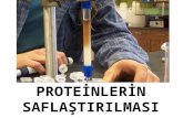 MBKY II 5.Ders Protein Saflastirma