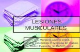 ERGONOMIA LESIONES MUSCULARES