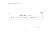 Analyse Financiere Des Projets