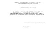 O OLHAR ESPACIAL E GEOGRÁFICO NA LEITURA E PERCEPÇÃO DA PAISAGEM MUNICIPAL - TCC vol I