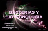 Bacterias y Biotecnología