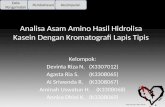 Analisa Asam Amino Hasil Hidrolisa Kasein Dengan Kromatografi