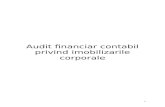 56410992 Proiect Audit Financiar Contabil Privind Imobilizarile Corporale