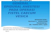 epidural anestesi