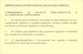 morfologia_bacteriana Tortora - Cópia