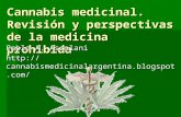 Cannabis Medicinal Internet