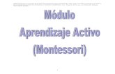 Modulo Aprendizaje Activo-montesori