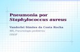 Pneumonia S.aureus