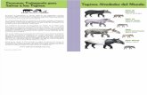 Tapir Specialist Group Brochure Español