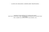 Aspectos Hematologicos - Carlos Magno Anselmo Mariano