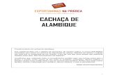 Cartilha Cachaca - Exportar