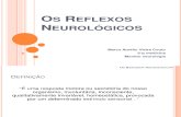 Os Reflexos Neurológicos