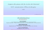 Anatomie Physiologie et Biomécanique pour le DIF, de D. Delagoutte